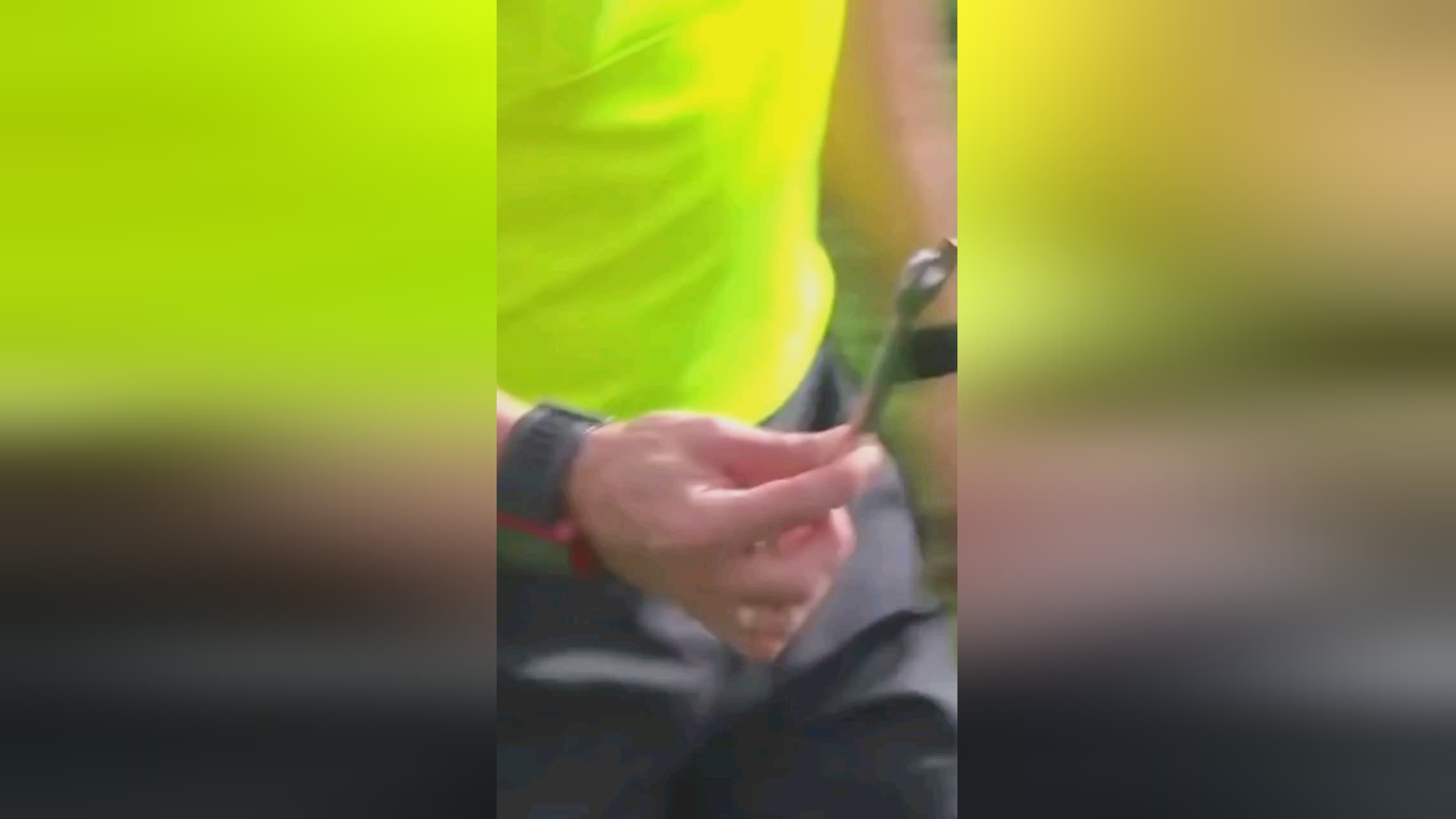 要信息申花
