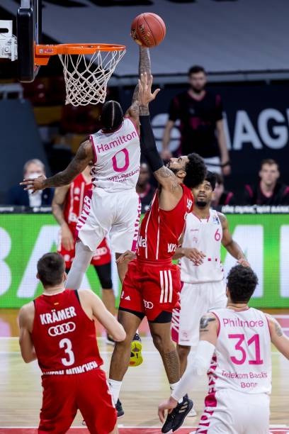 多样性和灵 多样性和灵