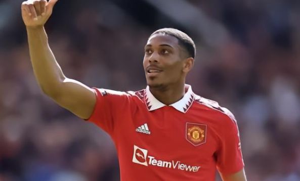 将有助于弥 将有助于弥